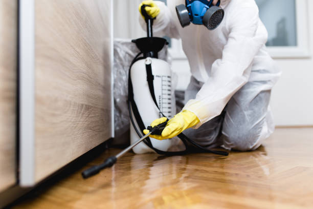 Best Affordable Pest Control Services  in Frankford, DE