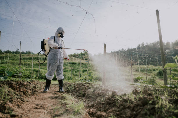 Best Best Pest Control Companies  in Frankford, DE
