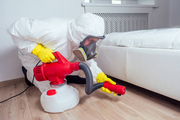 Best Mosquito Control Services  in Frankford, DE
