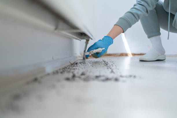 Professional Pest Control in Frankford, DE